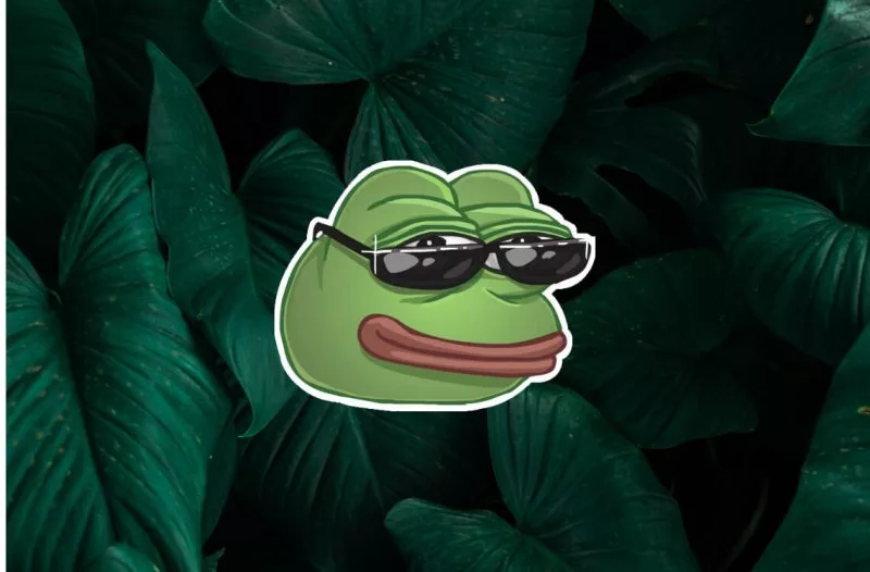 PEPE Coin Price Surges 40%, 60% Now in the Green